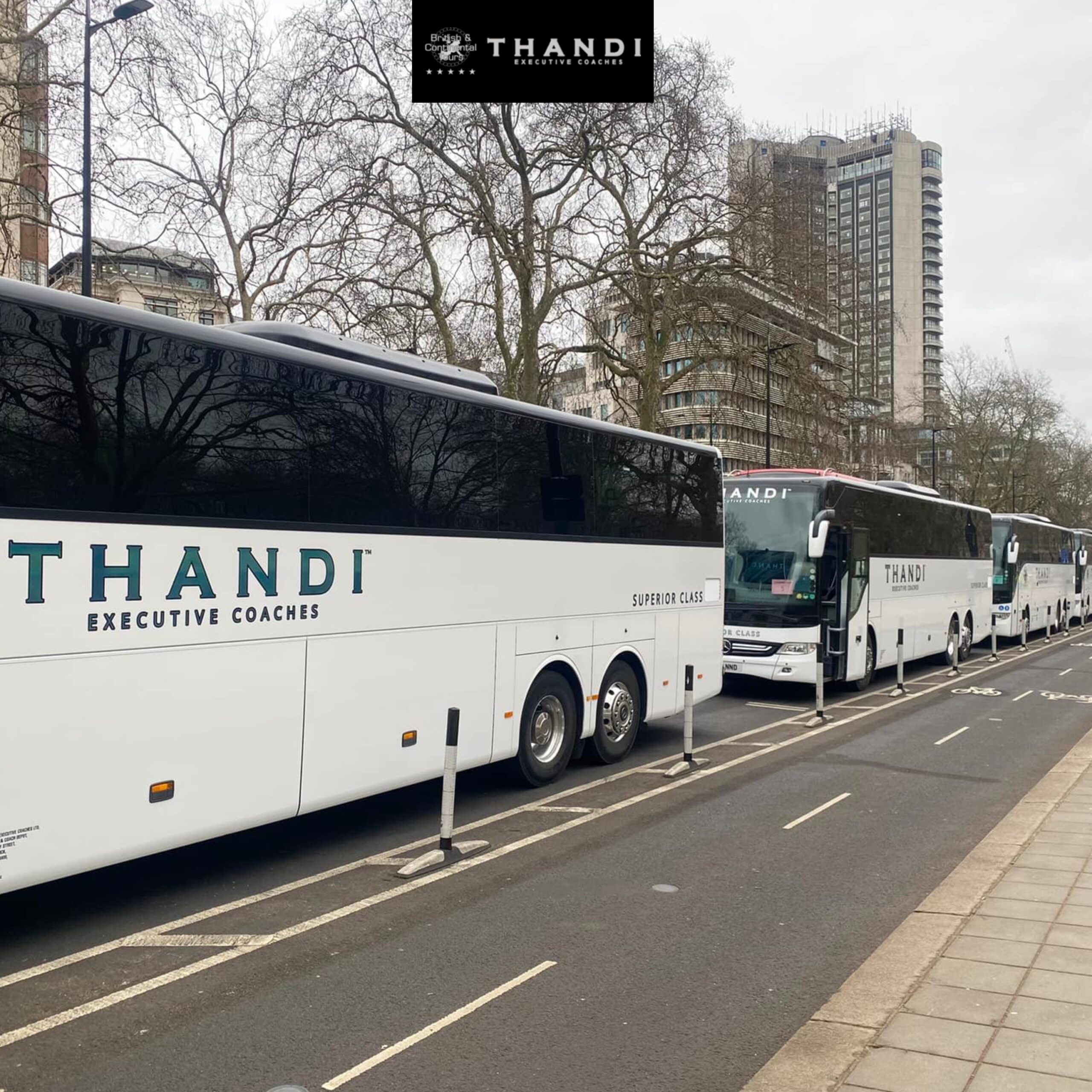 Line of Thandi executive coach buses parked along a city street