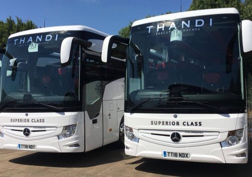 Thandi Coaches fleet